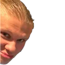 HaalandSmug HaalandSmug