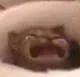 waaa waaa