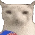 bruh
