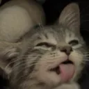 LickDeliciousTaste LickDeliciousTaste