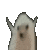 AhmadMohsen Discord emoji