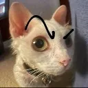 Proof proof Discord Emoji