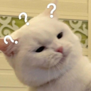 Wat Discord emoji