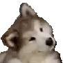 Hmmge