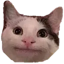 cat_QJinxMmm Discord Emoji
