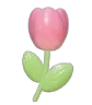 pFlower7