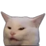 angycat