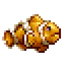 clownfish