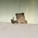 :Froggo_FU: