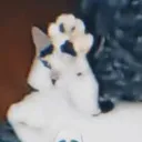 hitercat Discord Emoji