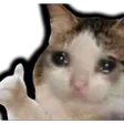 CatGr8
