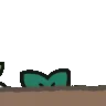 mokokoPeek