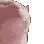 catbop catbop