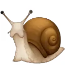 SNAIL
