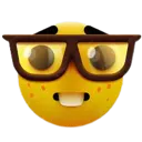 NERD