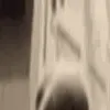 tallSNIFFA1