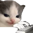 hehechatting hehechatting
