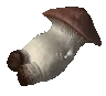 dyingshroom