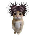 catso