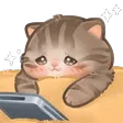 AA_Cat_SadPhone Discord Emoji