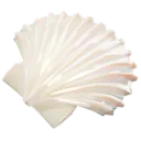 shell_white
