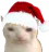 catnaclaus