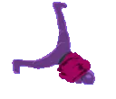 dancebreak