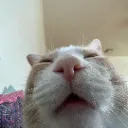 guh
