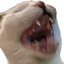 bitelliot