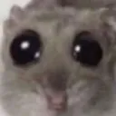 pls