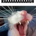 RAAAAAAAAAAAAGH