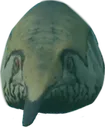 eurhino