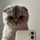 selfiecat