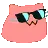 coolcat