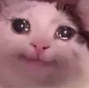 Cat_Sad