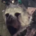 Trico_Yell3 Trico_Yell3