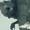 Trico_Lurk2 Trico_Lurk2