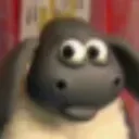 E29_sheep