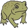 rightfrog