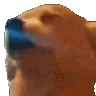 Dogjam
