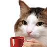 CoffeeCat Discord sticker from 🛕𝗭𝗼𝗱𝗶𝗮𝗻 𝗘𝗺𝗽𝗶𝗿𝗲🛕