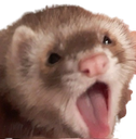 FerretYawn Discord sticker | 🛕𝗭𝗼𝗱𝗶𝗮𝗻 𝗘𝗺𝗽𝗶𝗿𝗲🛕