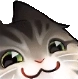 CatSmug Discord sticker | 🛕𝗭𝗼𝗱𝗶𝗮𝗻 𝗘𝗺𝗽𝗶𝗿𝗲🛕