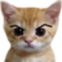 q_catangry Discord Emoji