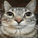 catstare Discord Emoji | AI CHATBOT MASTER 《🏷 100k+ Guild TAGS》┇ social ⋆ gaming ⋆ anime ⋆ chill ⋆ emotes⭑tech⭑[Character.AI]