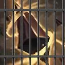 augjail2