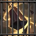 augjail