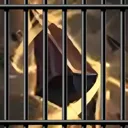 augjail augjail