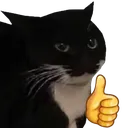maxwThumbsUp