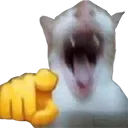 Cat_Laugh